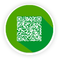 :   -        QR- ()